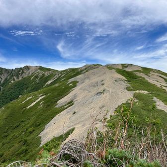 蝙蝠尾根（蝙蝠岳側から）