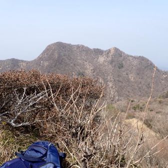 普賢岳山頂より歩いた尾根道
中央国見岳から右手に💦💦
ランチ🍙中、目の前にはミヤマキリシマの蕾が沢山、今年も期待出来そうです。😳