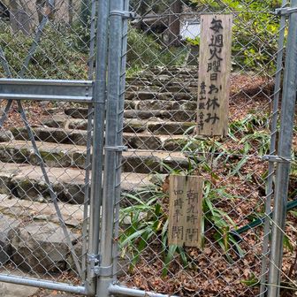 鉄柵が閉まっています
朝9時からの開門です
帰りにお参りしますね
ここから未舗装の登山道になります