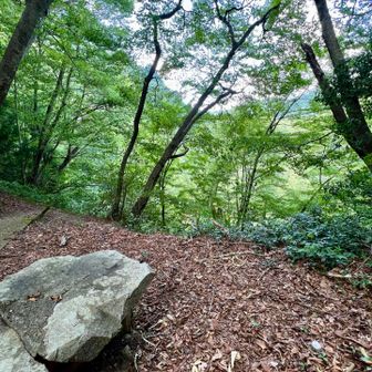 途中の峠で吹き抜ける風を楽しむ