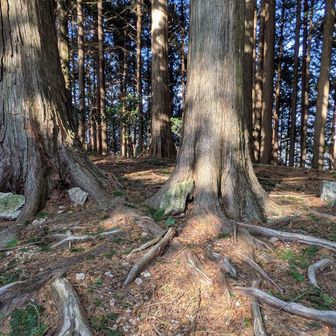 石に書いてある「鳶・ノ・巣・山」