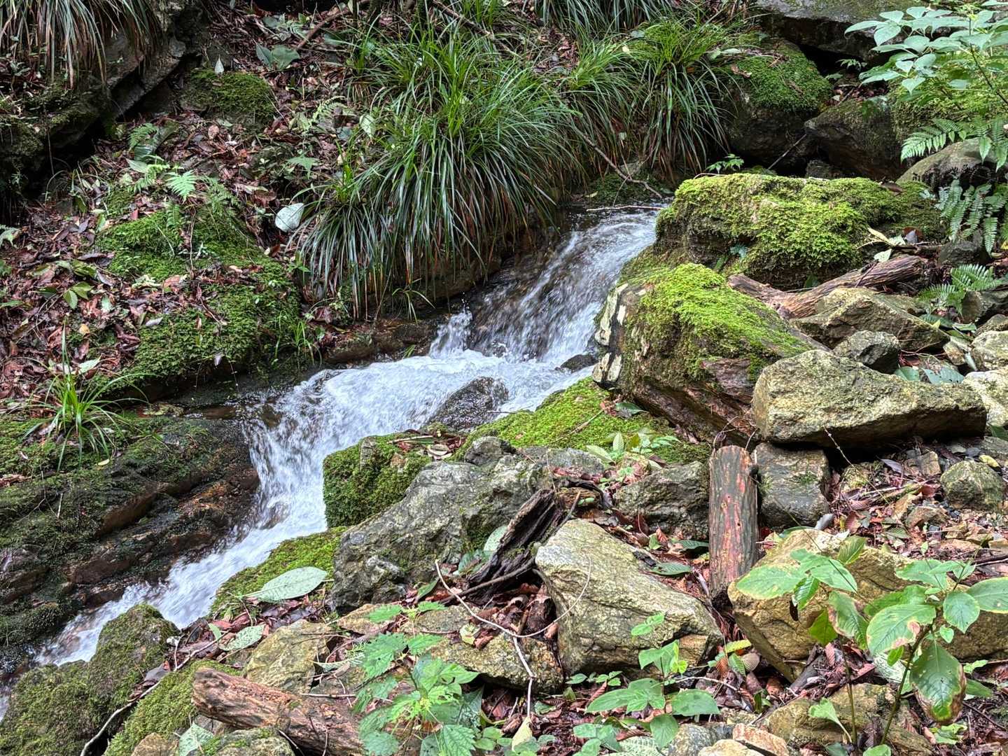 南コース登山口-東登山口-南登山道入口 往復コースの写真
