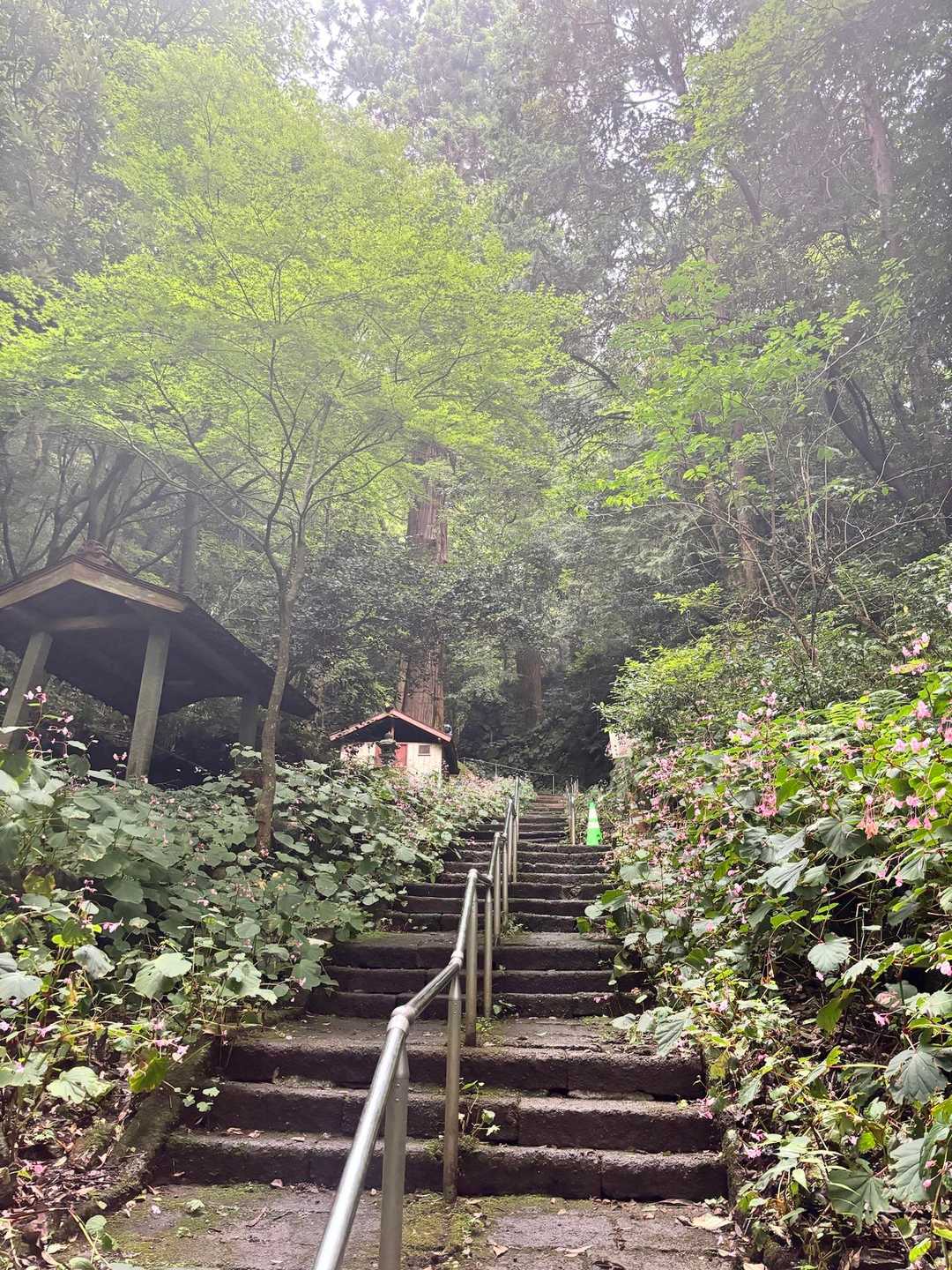 ぐみの木峠 往復コースの写真