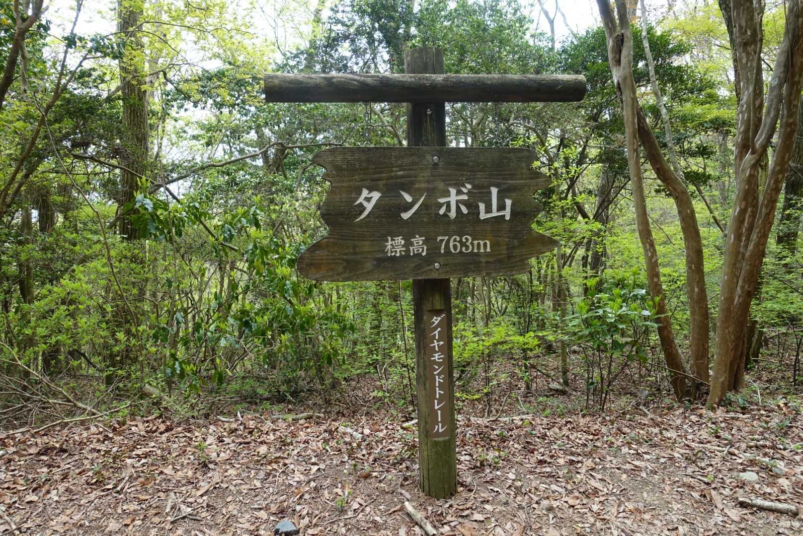 タンボ山の写真