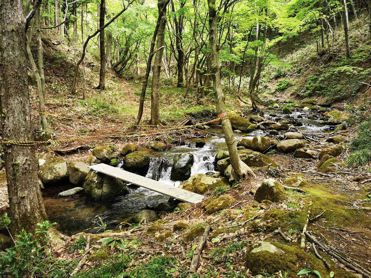 鶏峠-笠ヶ森山 周回コースの写真