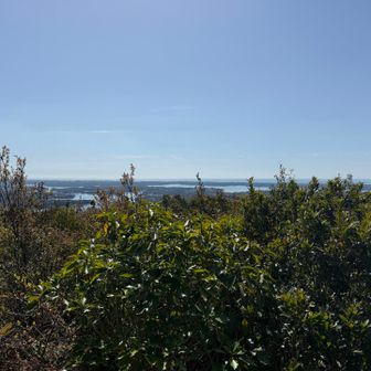 ④迫子浅間山展望台:
展望、木が展望を遮る