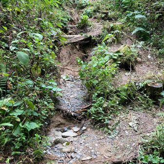 長雨の影響でしょうか　キャップ場コースの迂回路になっている木の階段も崩れていました