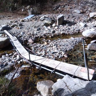 画像だと危なっかしそうだけどしっかりしている