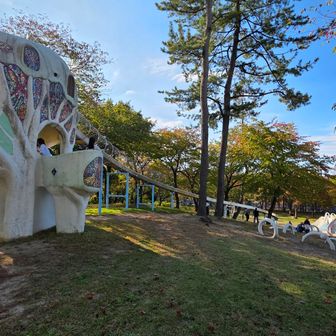 滑る危険箇所✨👀
(ローラーすべり台)