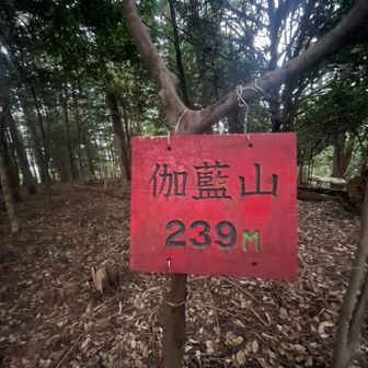 遠くから気付きやすい山名札