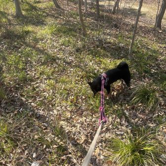 モリモリ山を登頂中