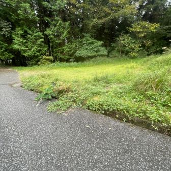 下の駐車場