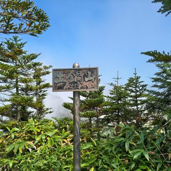 土鍋山山頂
こちらは1999メートル