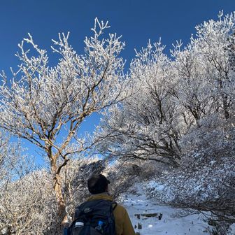 おかげで写真たくさん撮ってもらいました。

晴天霧氷🟦❄️🟦
