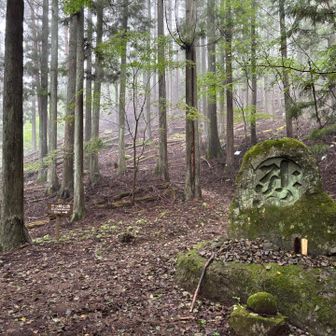 登山道の様子です