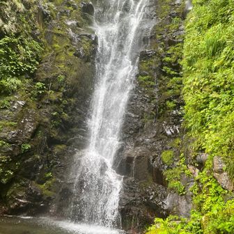 水場の周りだけ涼しい