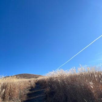 飛行機雲と山頂がイイ感じ