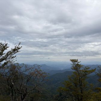 山頂からの眺め