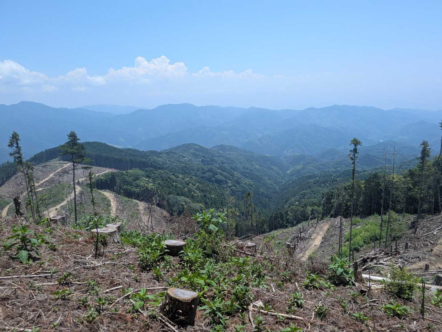 山頂間近にて😀おう😆絶景😍
面木山を思い出します😌
石手川ダムも見えましたね☺️