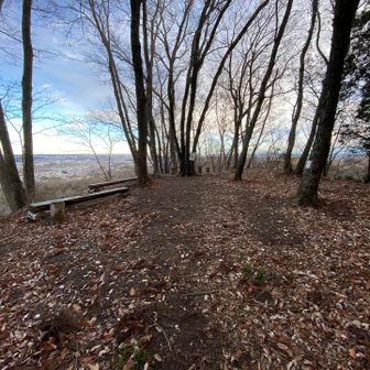 すぐ網代城山頂上へ