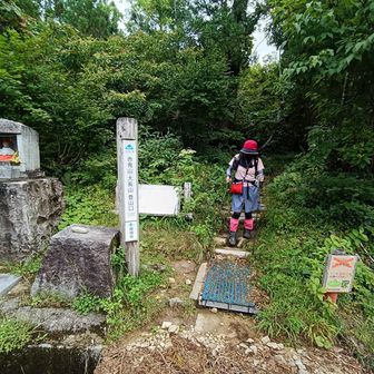 はい、登山口まで帰って来ました😊