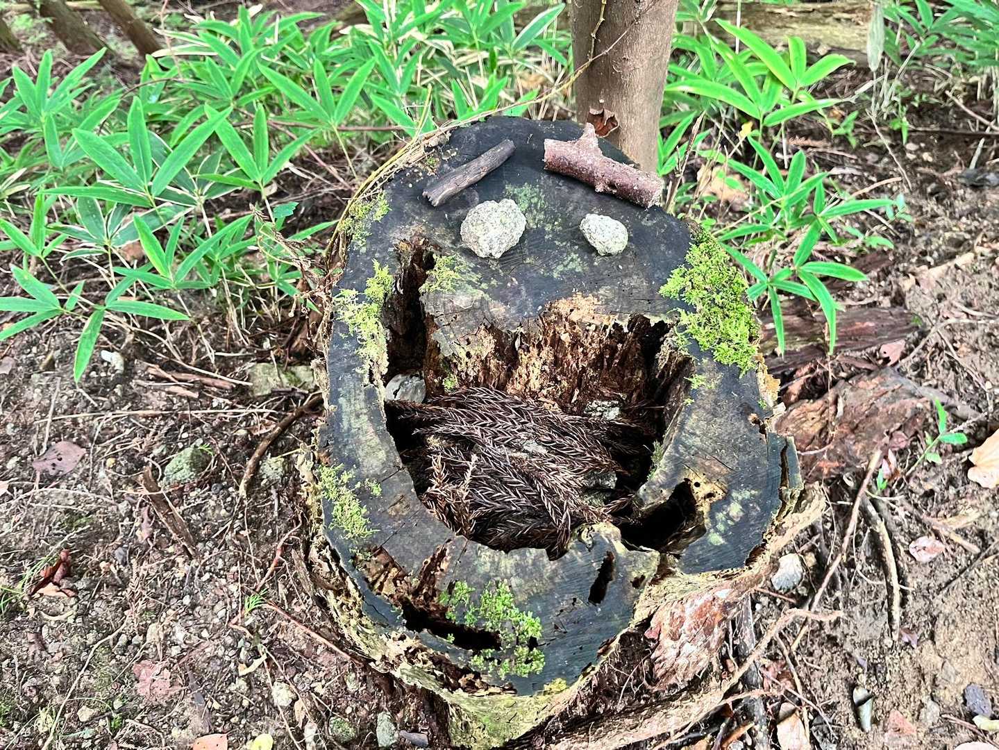 楽しそうやね😄
なんか元気もらえたわ