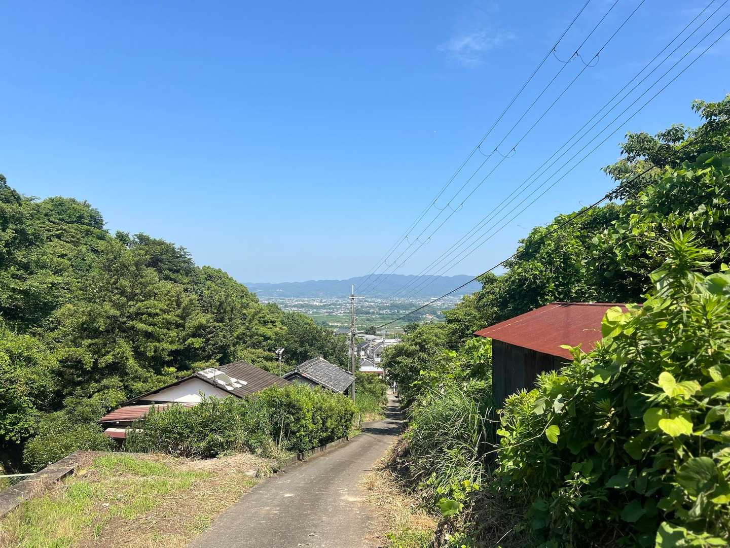 しばらくこんな感じの道を登る。