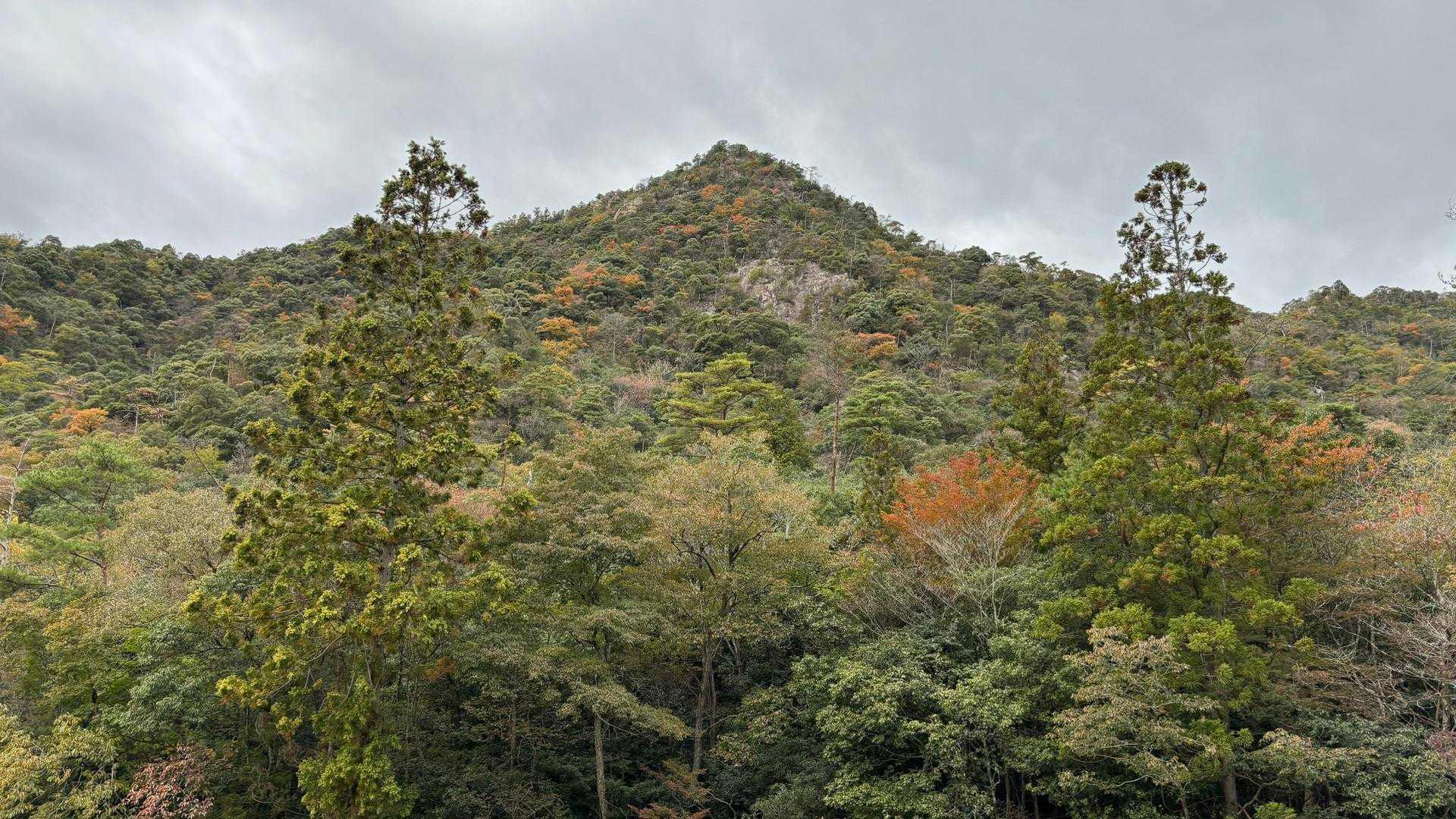 あれ登ったのねーって見上げながらゴール