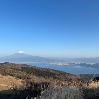 達磨山レストハウスからの景色