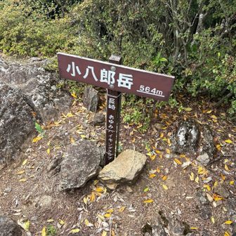 小八郎岳　564ｍ