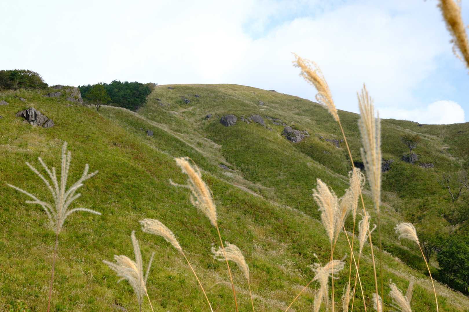 南登山口-深入山 周回コースの写真