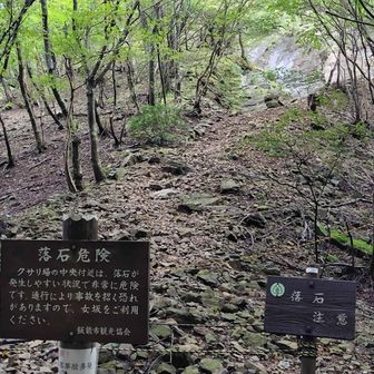 男坂様、どうもお世話になりました。