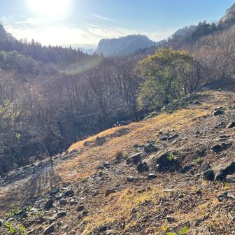 下に林道が見えた👀
ちょっと、ホッ😌💭