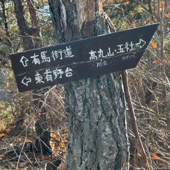 有馬温泉へ下るつもりでしたが、
東有野台方面へ降りてみることにしました