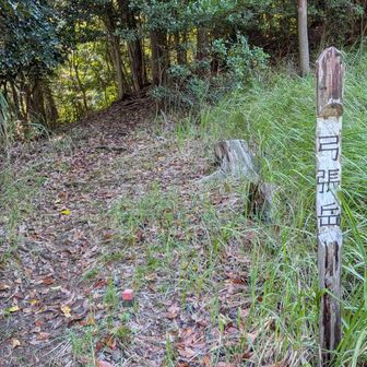↑直ぐに弓張岳への登山口