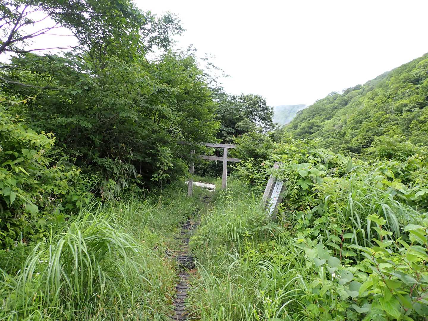 小葉谷ピストンコースです。