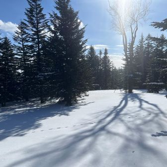 広々～
気持ちイイ～😊
ところで山頂標識はどこかいな？👀