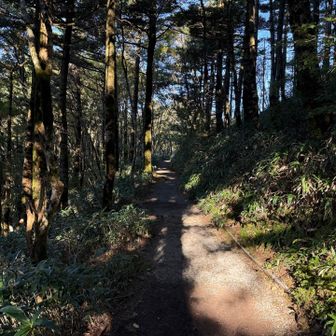 石鎚山　土小屋ルートは斜度のない歩きやすい道が最高でした😊