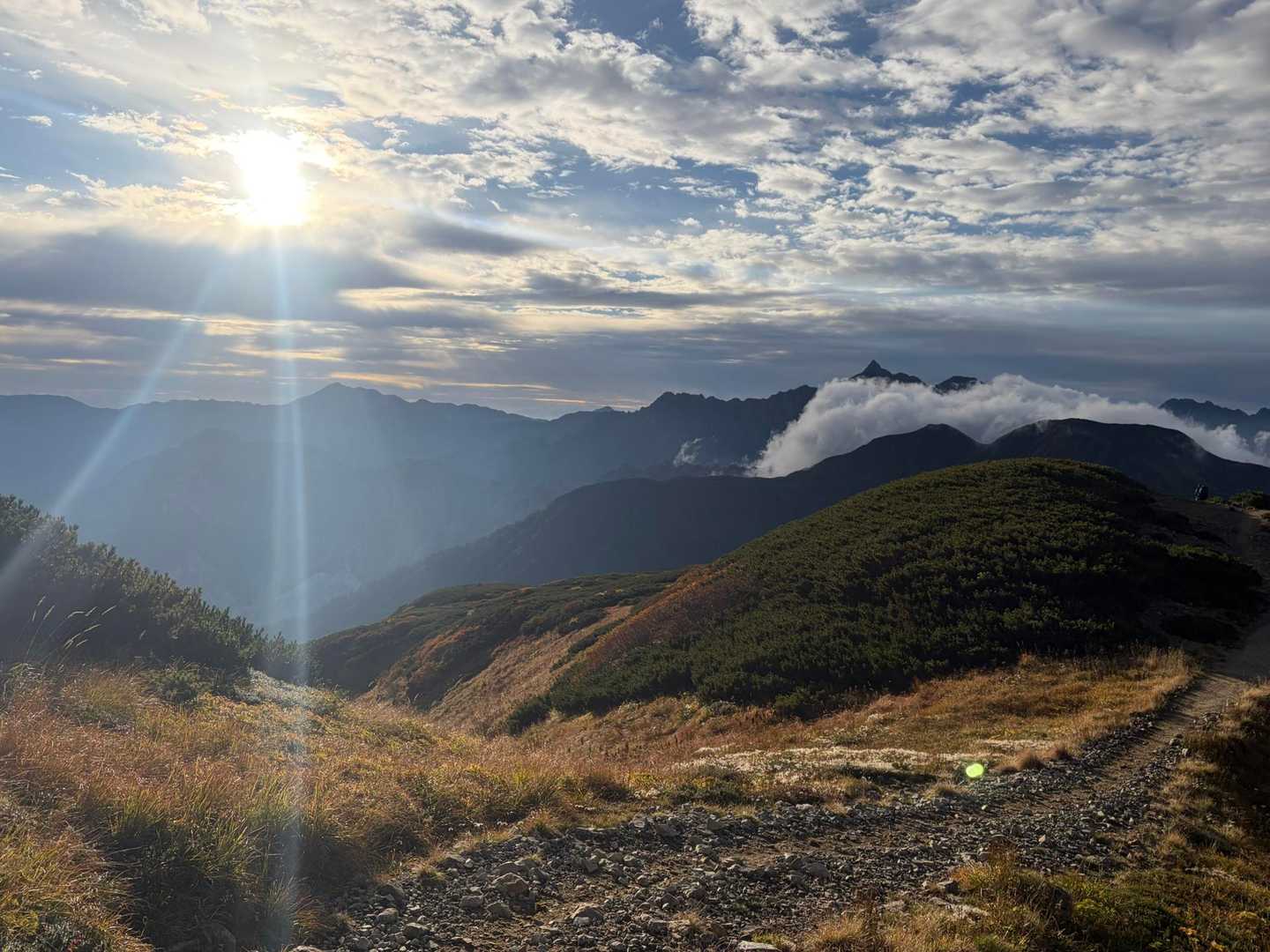 薬師岳登山口-アラスカ庭園-スイス庭園-日本庭園-三俣蓮華 縦走コースの写真