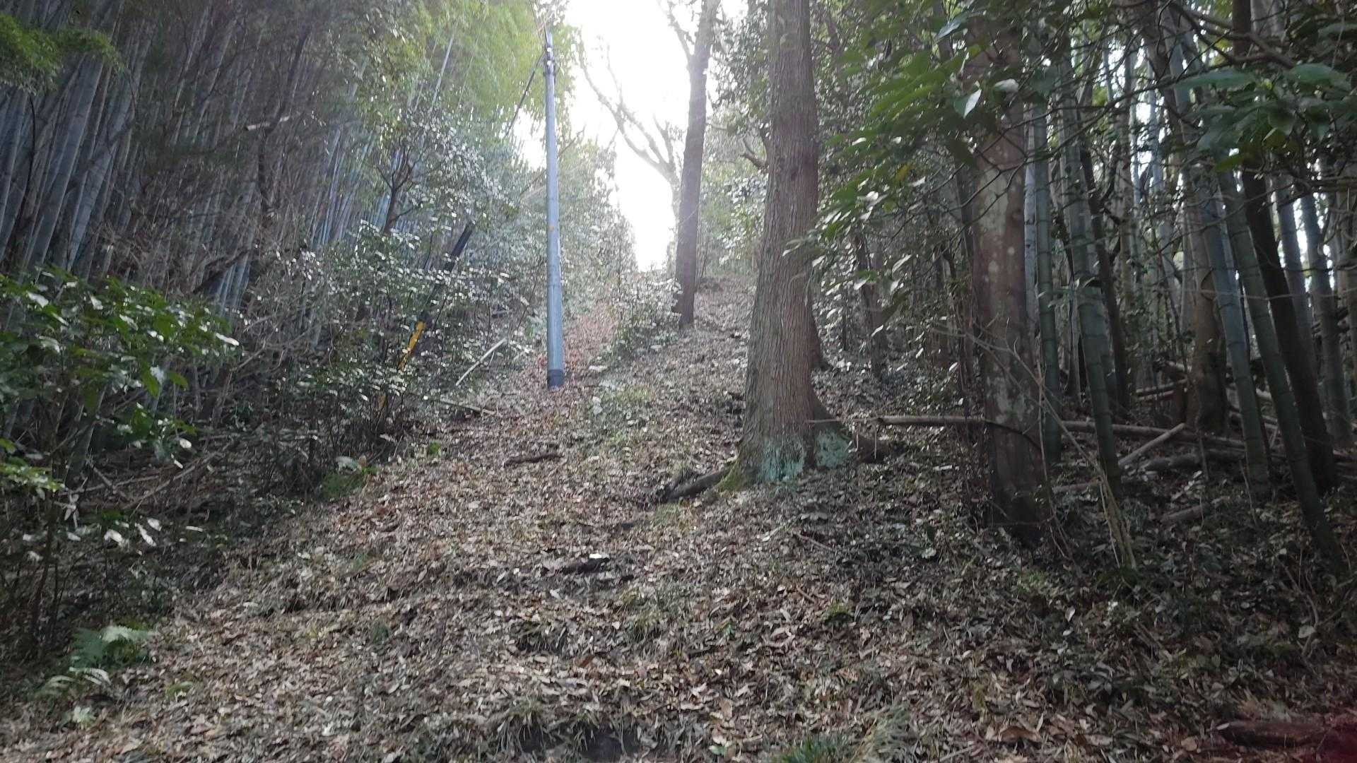 えっ？えっ？
もっとゆるーいのをイメージして来たんやけど・・・
劇登りやん！！😱💦