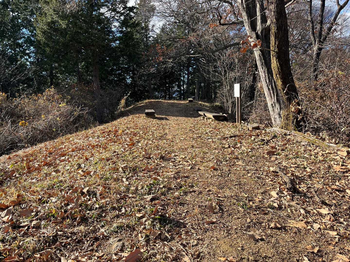大桁山山頂😮‍💨