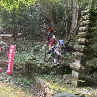 蜘蛛の巣🕸️🕸️🕸️🕸️🕷️  大変でした😰