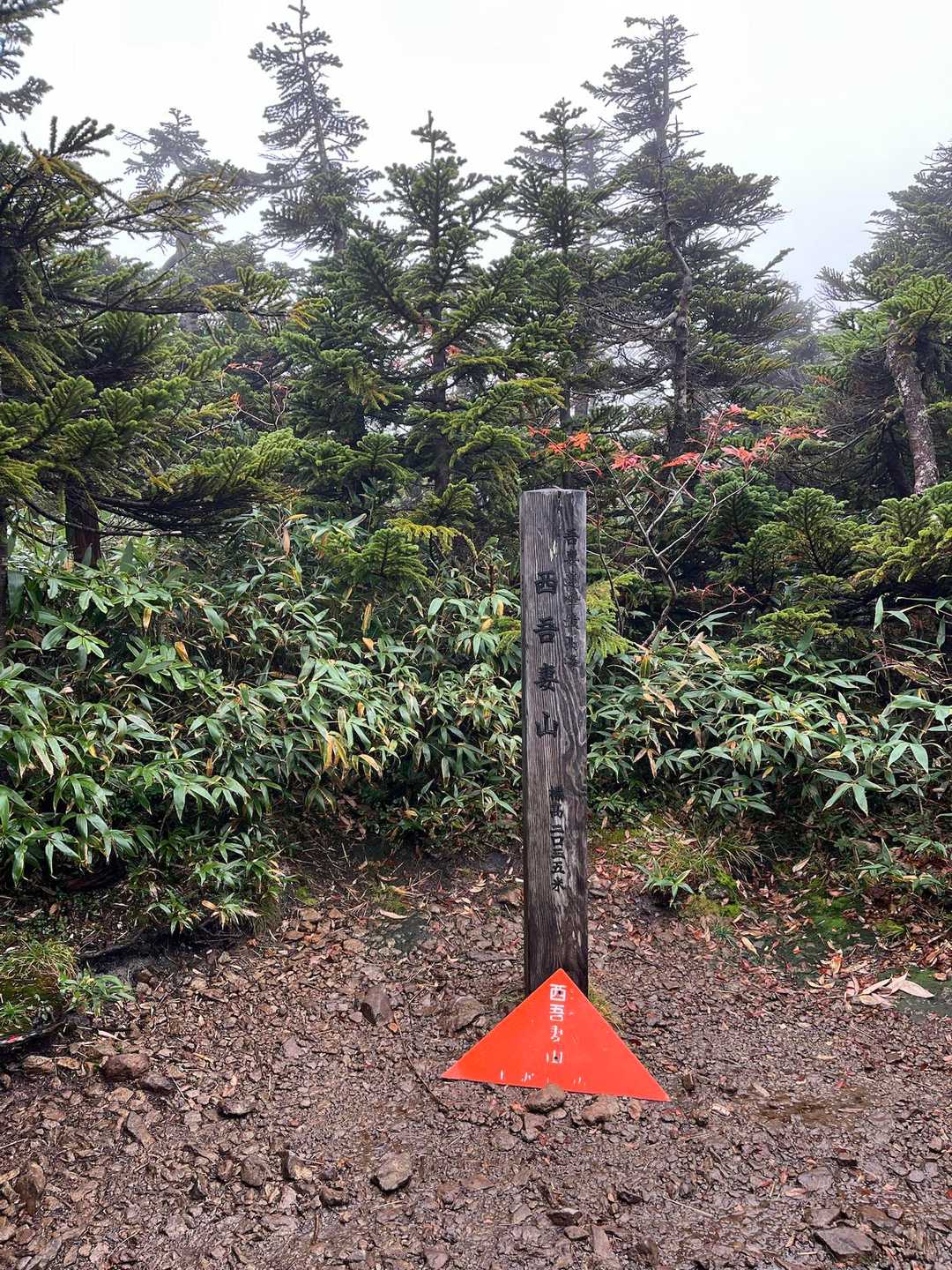 あっという間に西吾妻山🙌