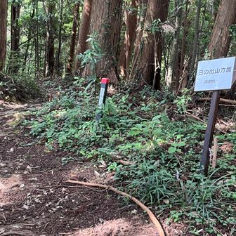 日の出方面に向かう分岐。YAMAP地図にはルートが出てないけど、道は続いているのか？