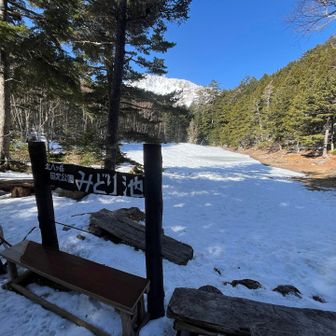 ミドリ池は凍結