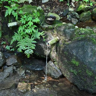 男女川の上流は今日は水が出ていました