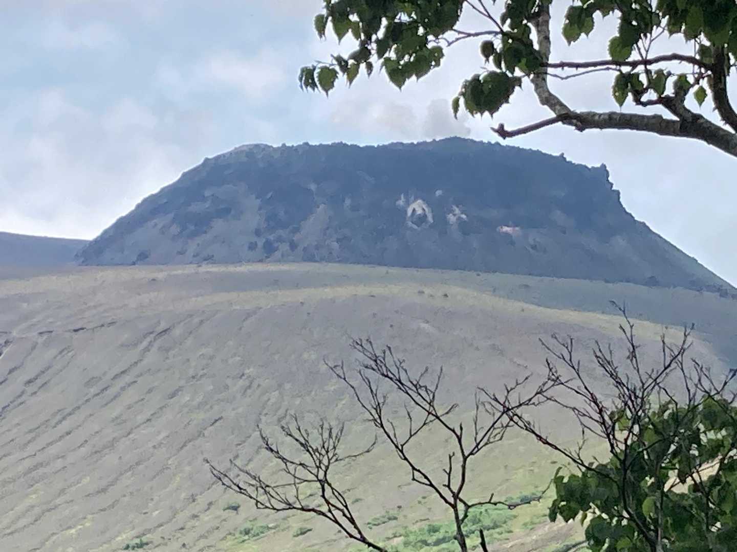 樽前山に🐼いるって、この事？