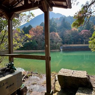 御池越しの三上山⛰️