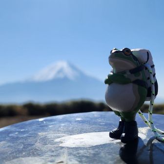 野あるーきー443