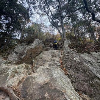 がんばってます